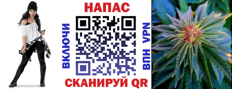 хочу   Таганрог  Каннабис сатива 